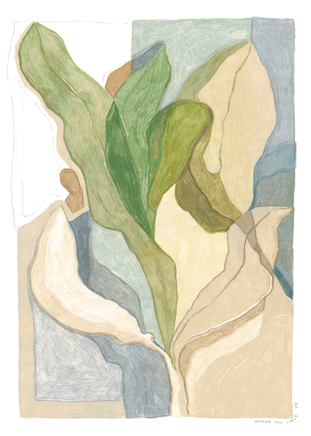 Seaweed