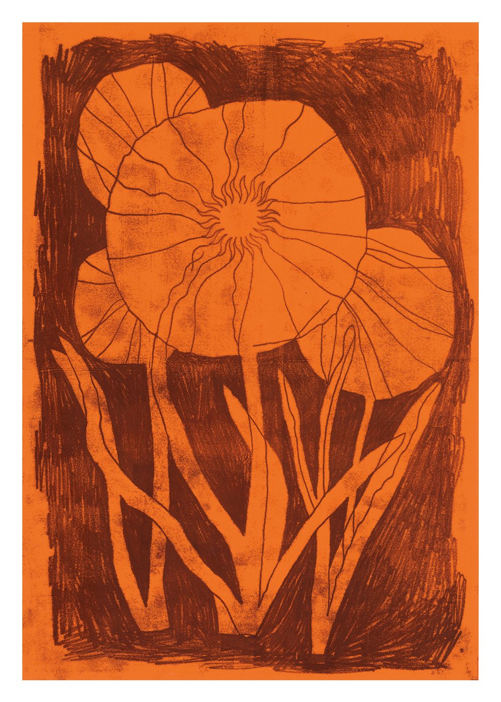 Everlasting Flower