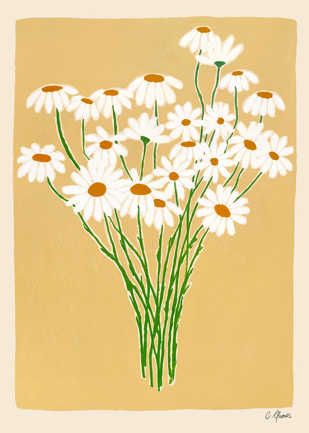 Daisies