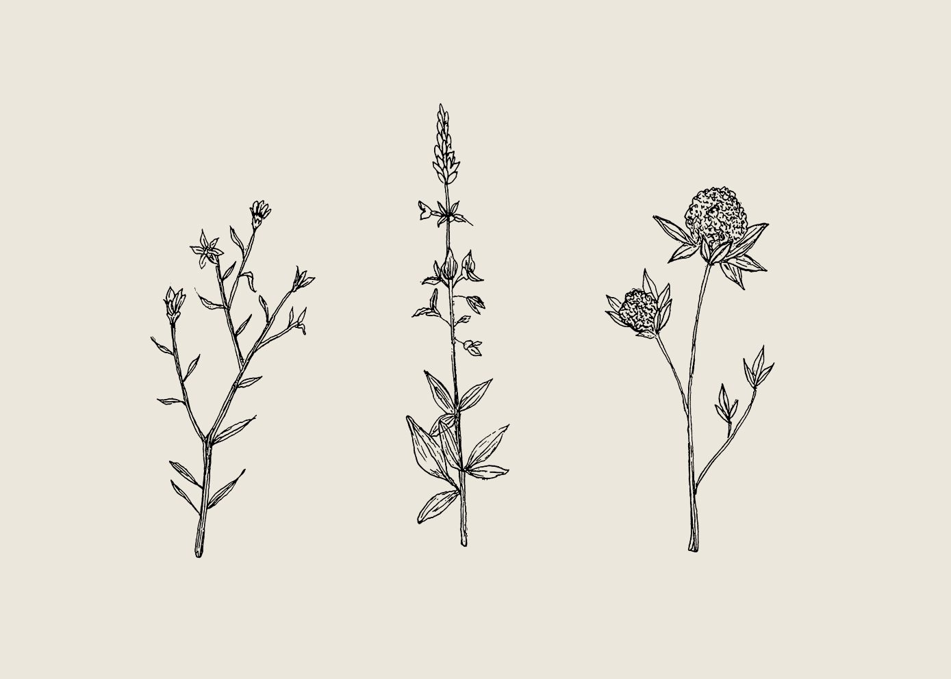 Three Friendly Bushels