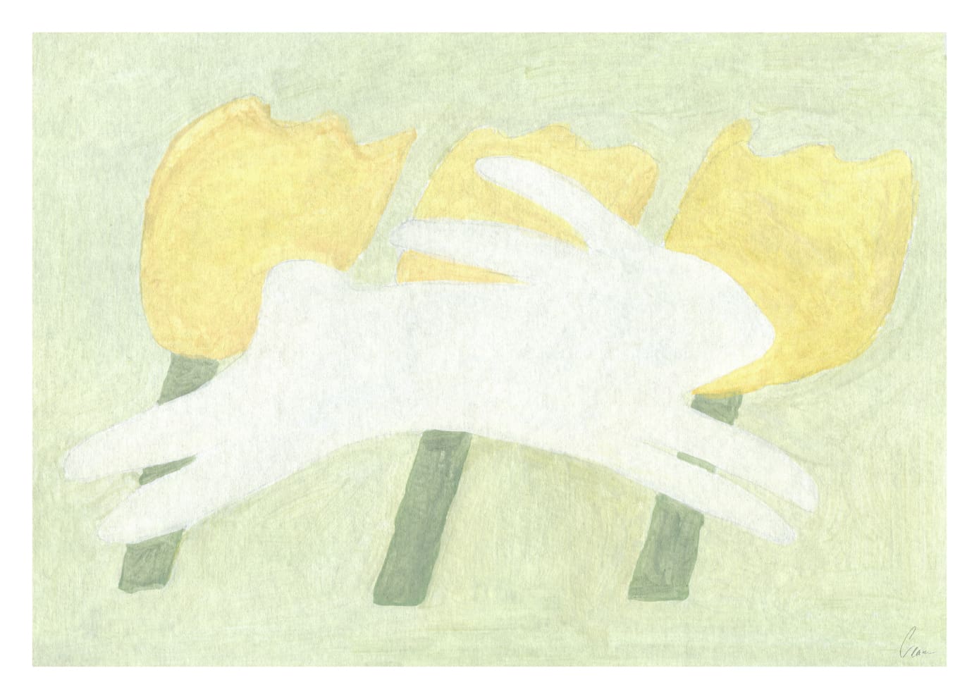 Rabbit and Flora