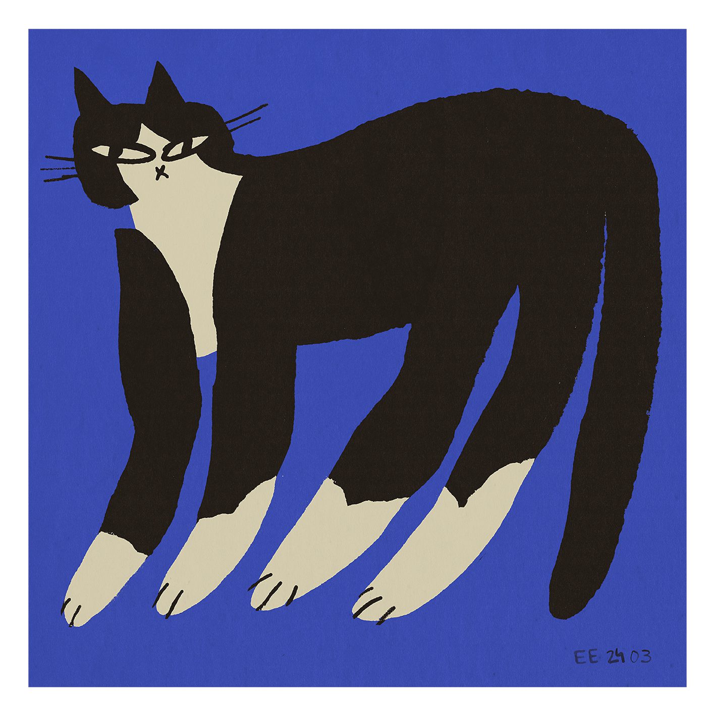 Cat in Blue