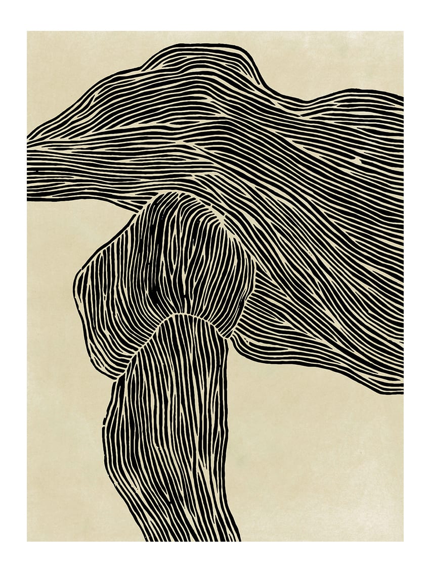 The Line No 16