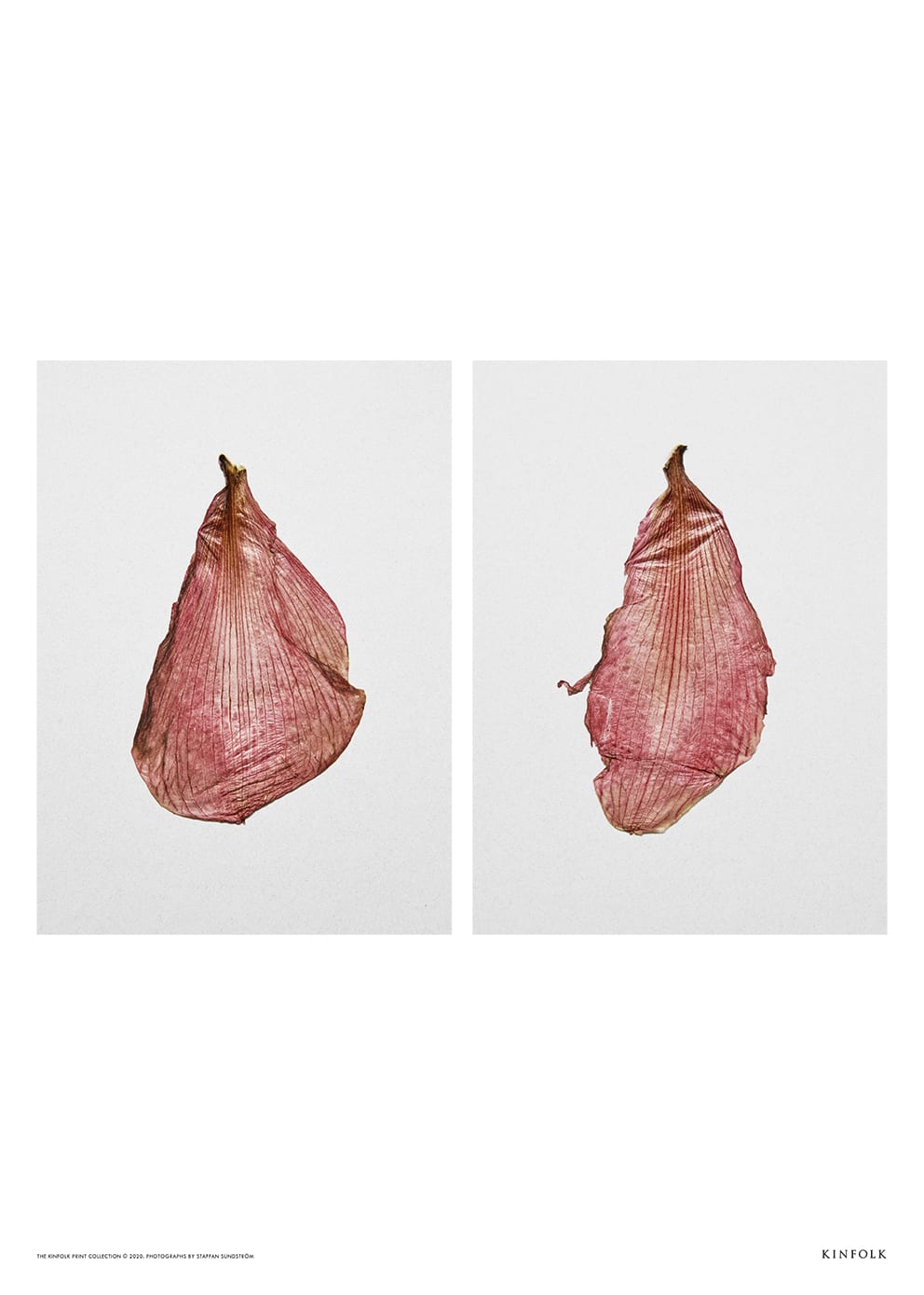 The Petal