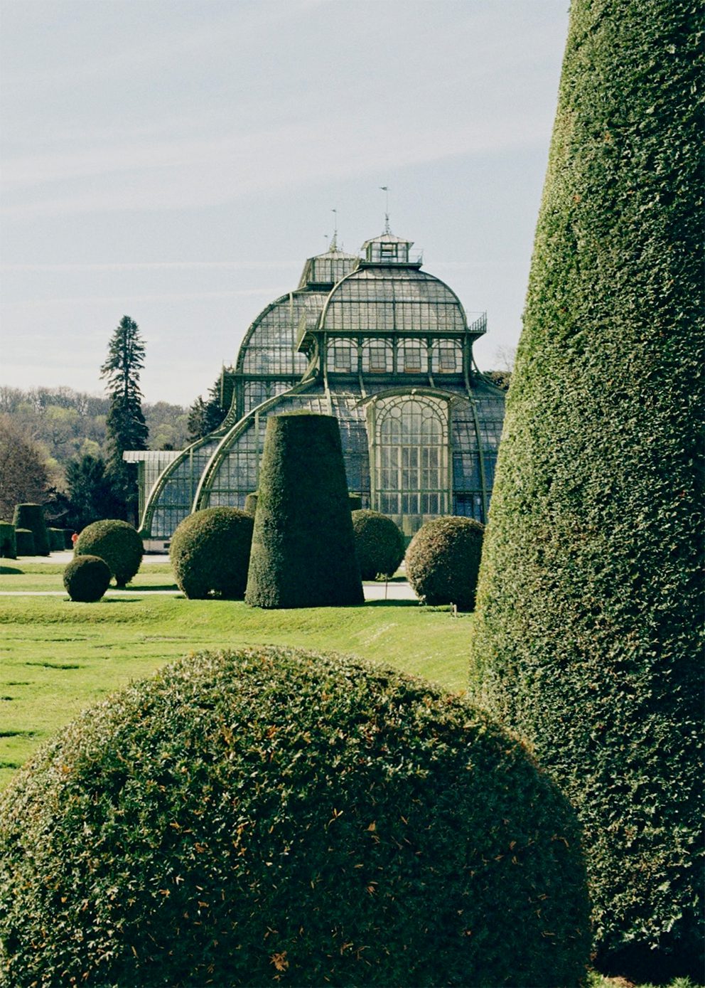 Topiary