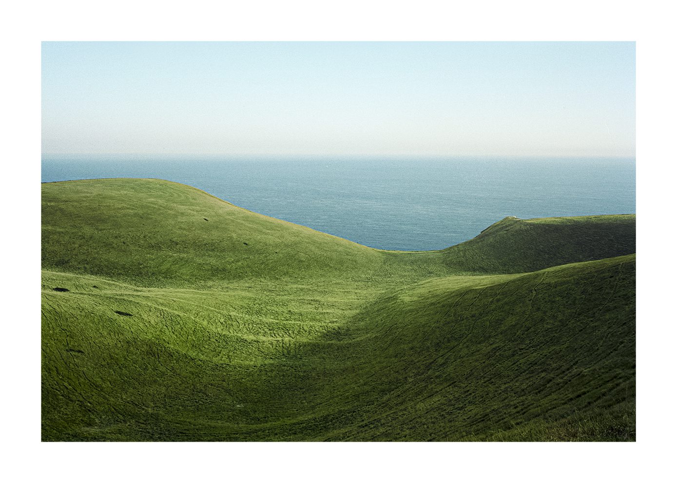 Dorset