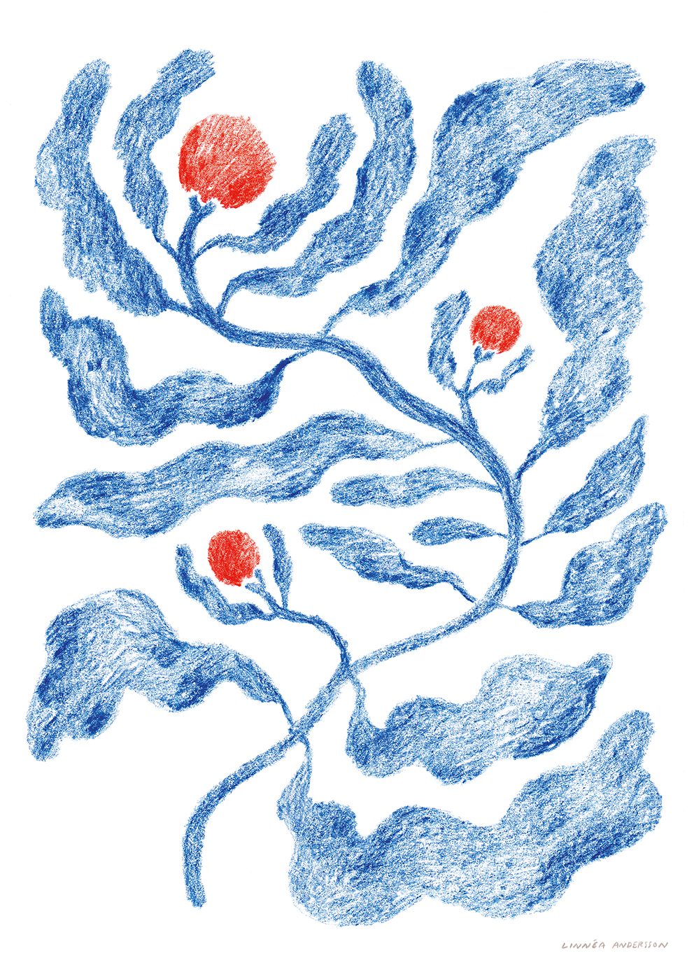 Fruits