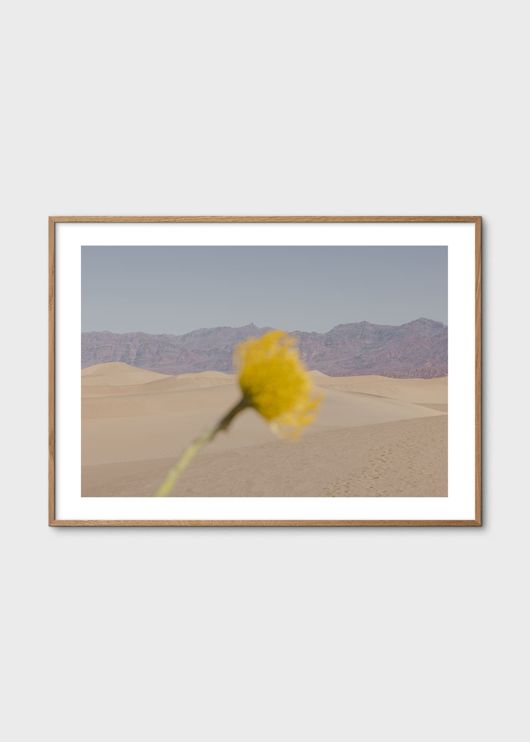 Desert Mirage by Nicole Mason | The Poster Club