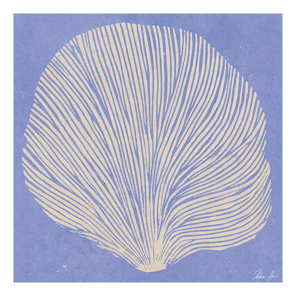 Sea Lavender