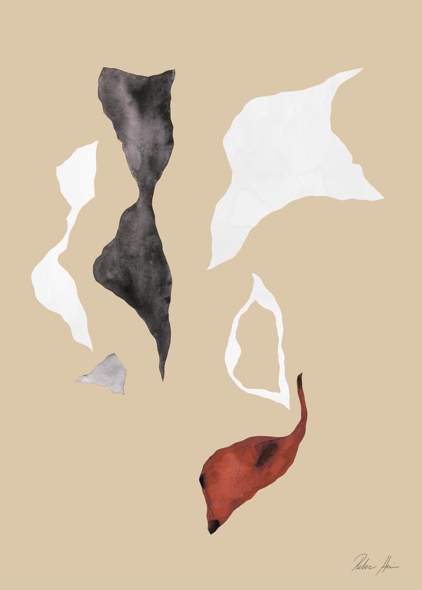 Shadow no. 01