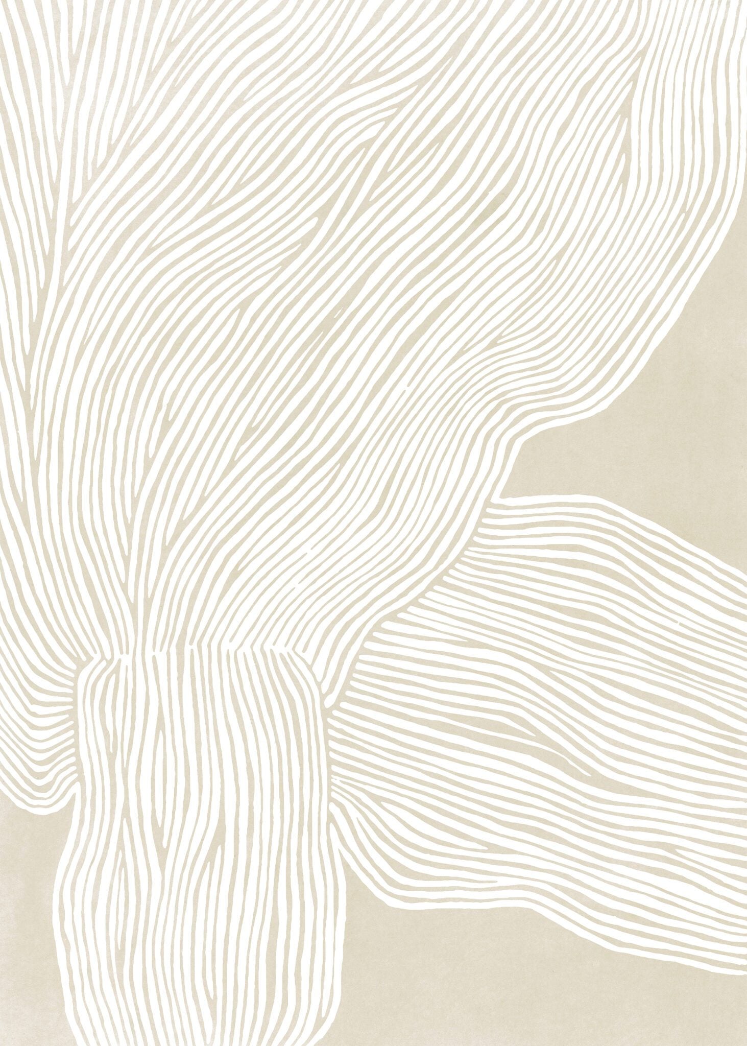 The Line no. 09