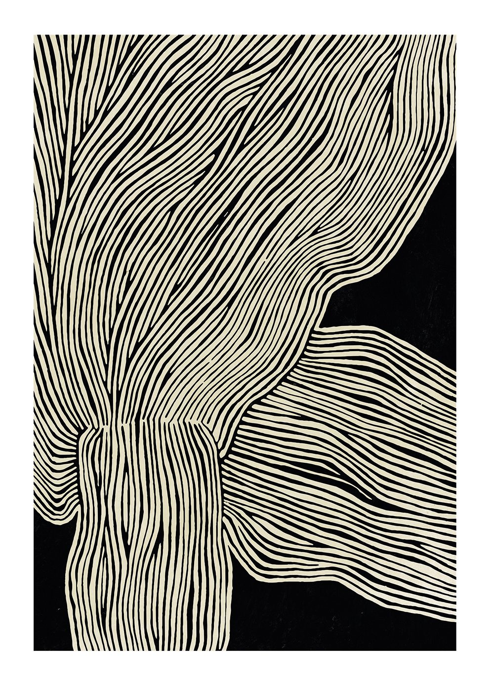 The Line No 13
