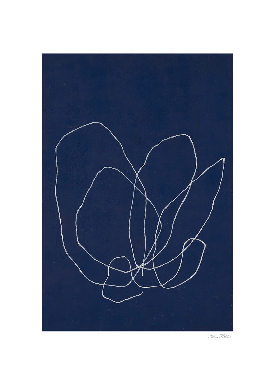 Elements of a Tulip