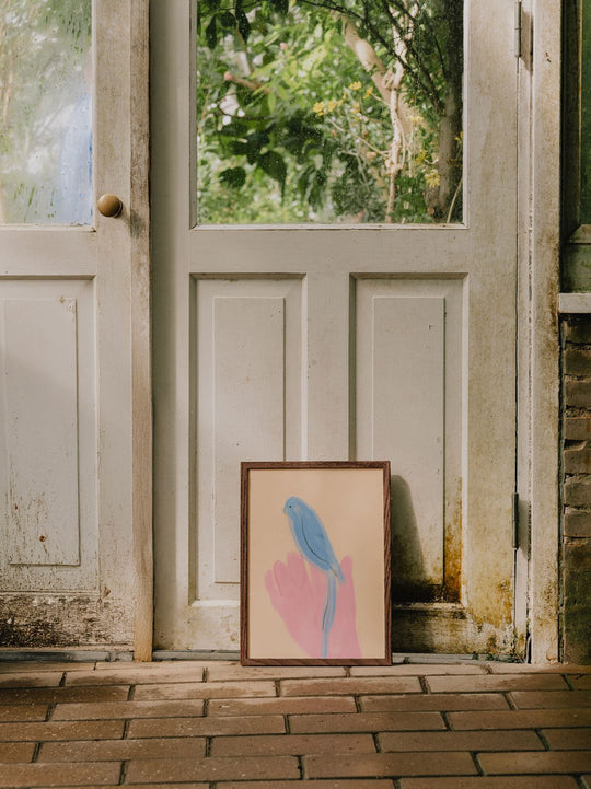 The Soft Wilderness Collection
