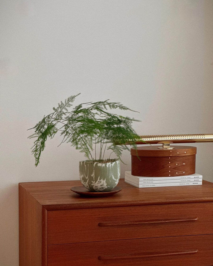 Kim JiYoung
