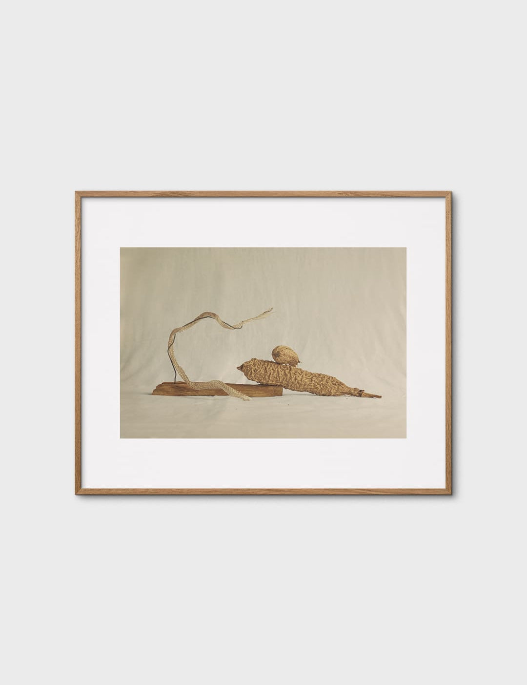 Zambezi River by Alium Gallery
