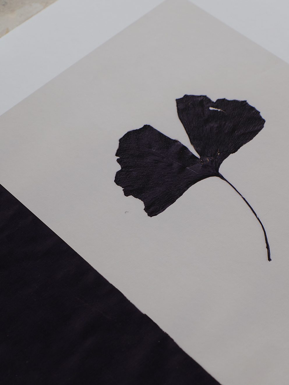 Black Ginkgo by Ana Frois
