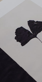 Black Ginkgo by Ana Frois