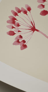 Flowers 02 by Ana Frois