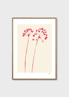 Flowers 02 by Ana Frois