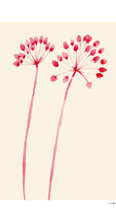 Flowers 02 by Ana Frois