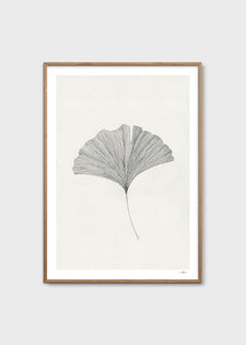 Ginkgo Leaf by Ana Frois