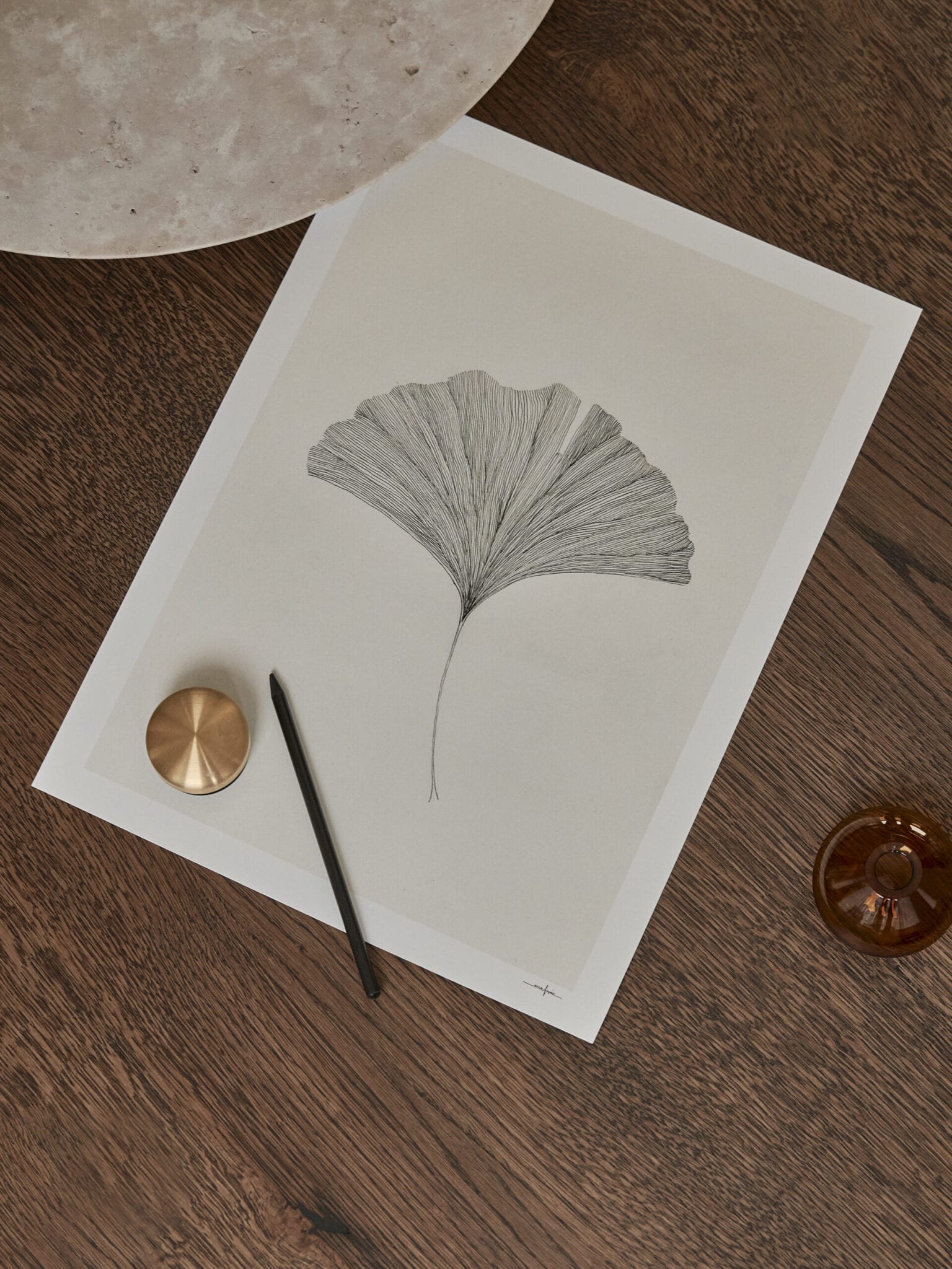Ginkgo Leaf by Ana Frois | The Poster Club