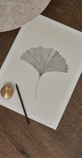 Ginkgo Leaf by Ana Frois