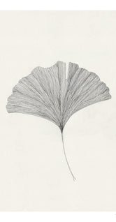 Ginkgo Leaf by Ana Frois