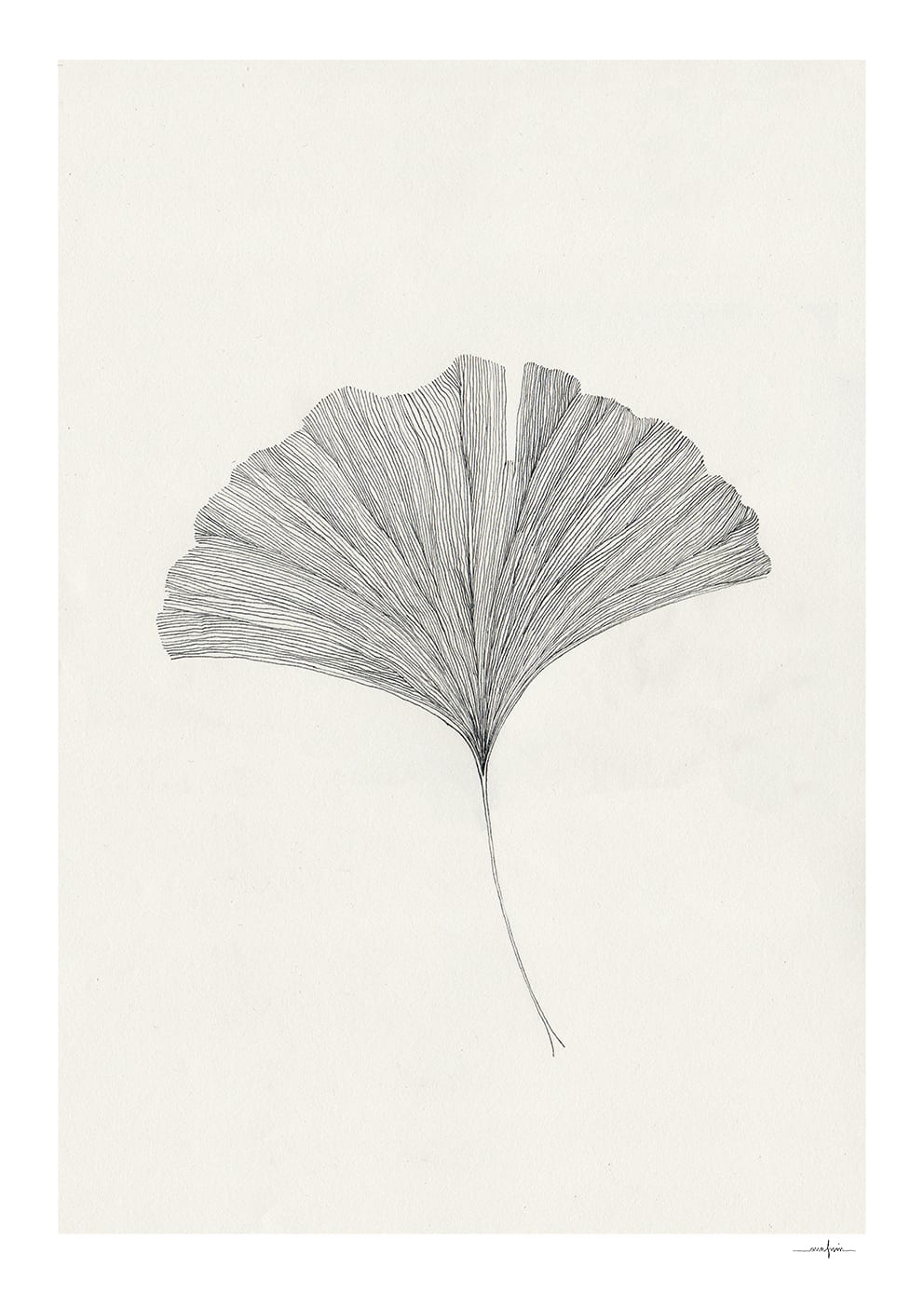 Ginkgo Leaf