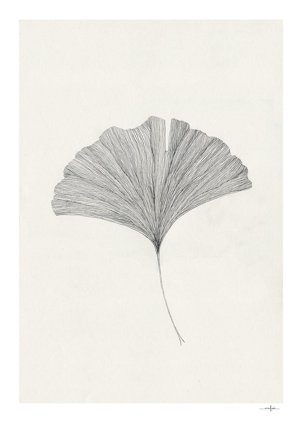 Ginkgo Leaf by Ana Frois