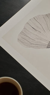 Poppy by Ana Frois