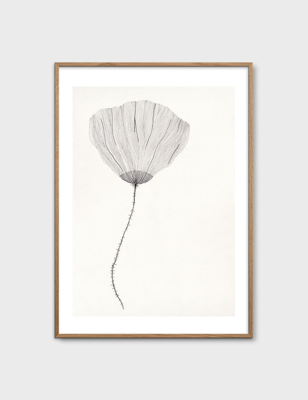 Poppy by Ana Frois