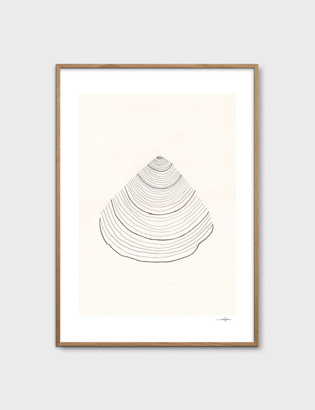 Shell by Ana Frois
