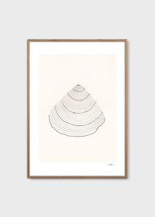 Shell by Ana Frois