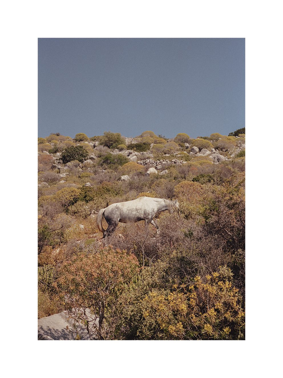 Camouflage
