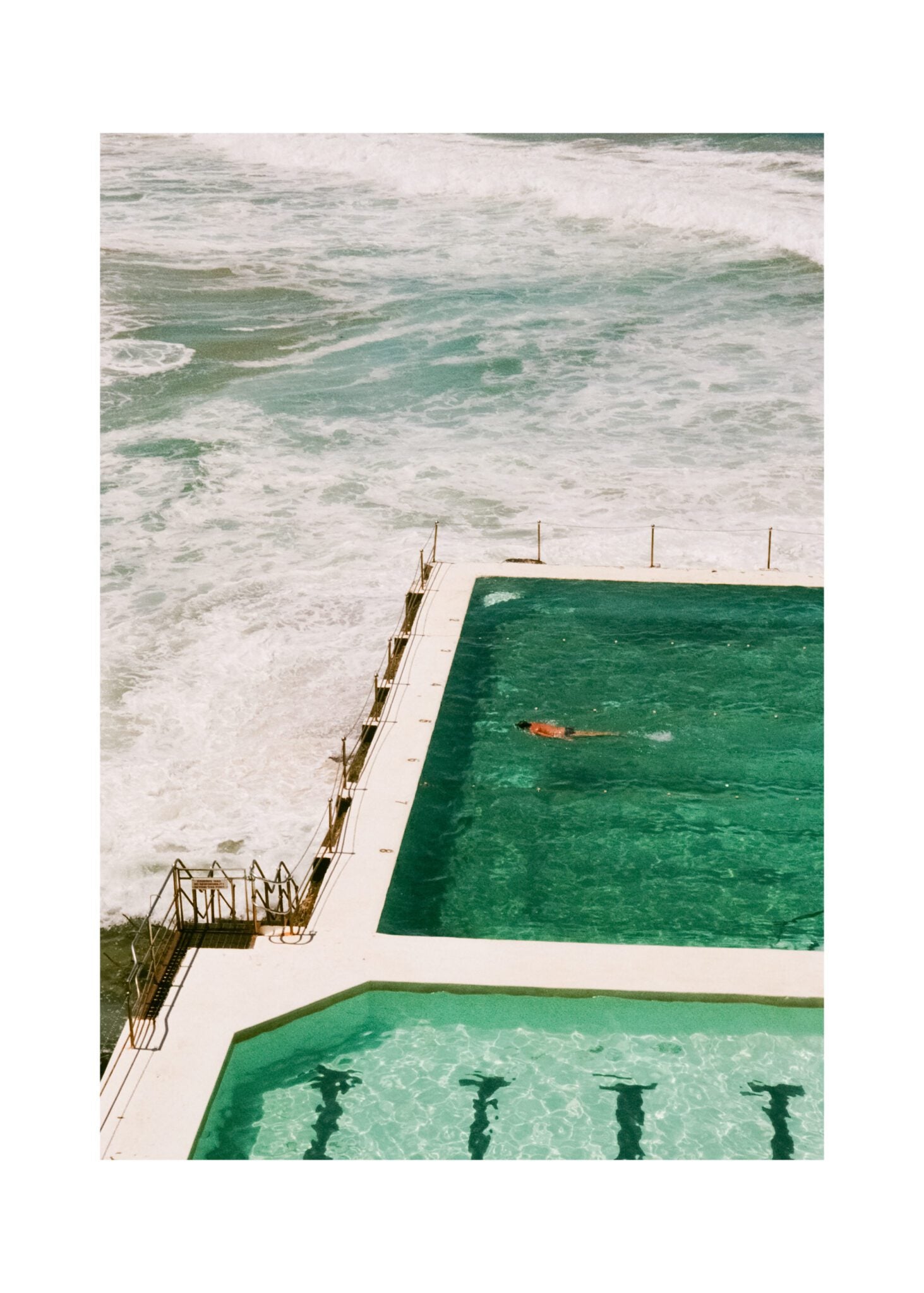 Bondi Icebergs