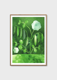 Peas in Bloom by Anna Ravn Bjørn