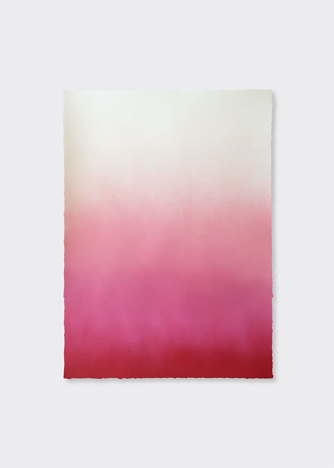 Hazy Pink by Anne Nowak