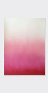 Hazy Pink by Anne Nowak