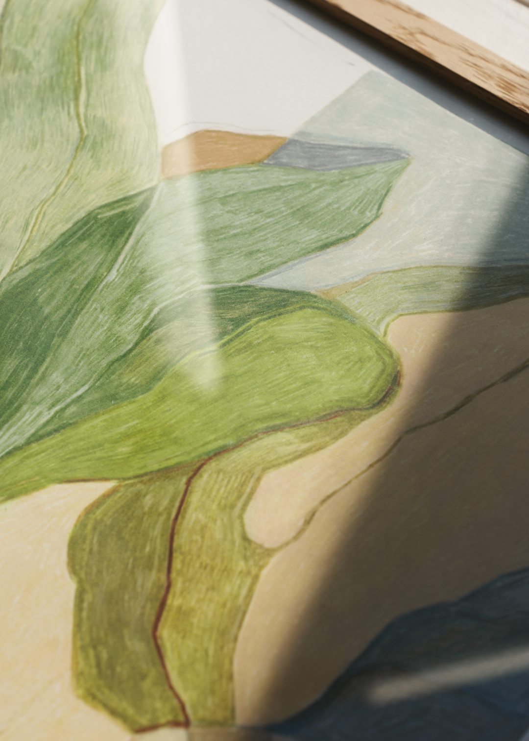 Seaweed by Anouk van Cleef