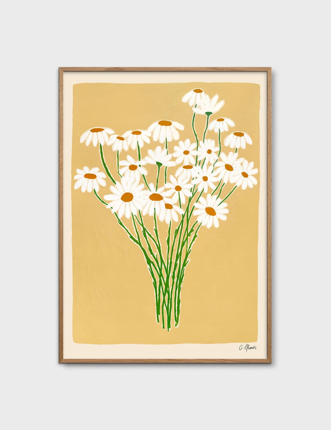 Daisies by Carla Llanos