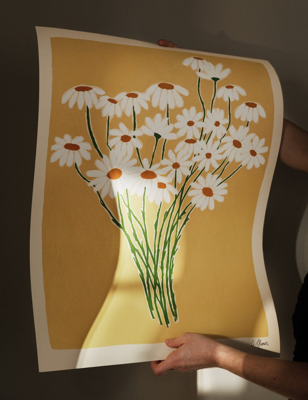 Daisies