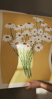 Daisies by Carla Llanos