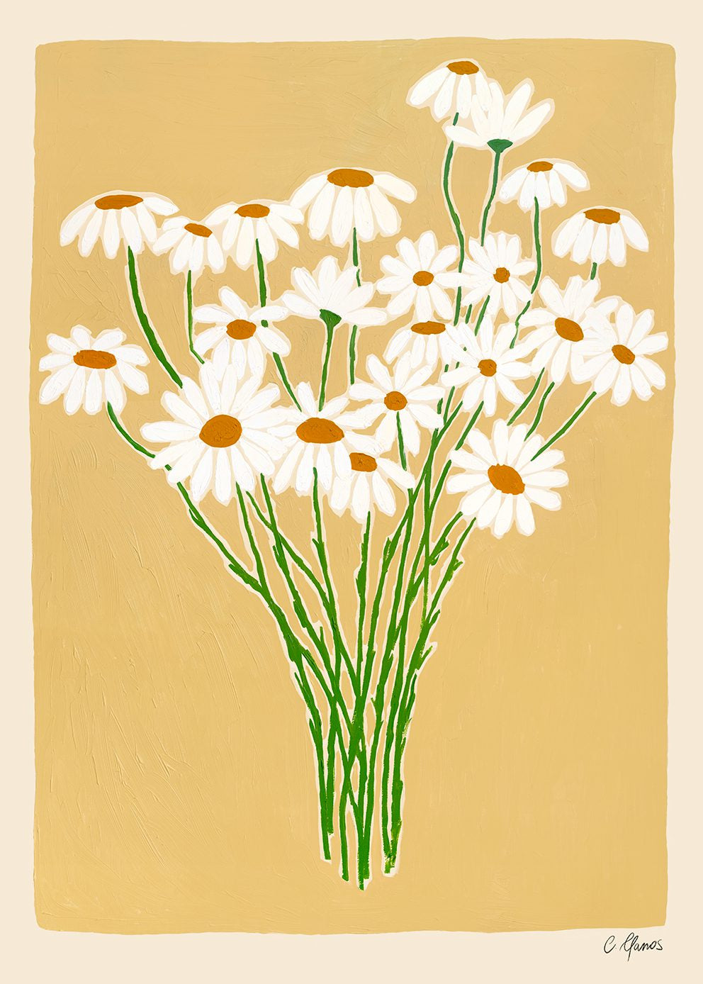 Daisies by Carla Llanos