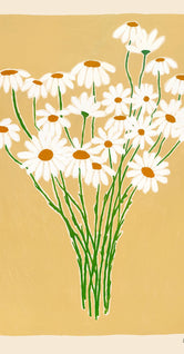 Daisies by Carla Llanos