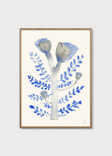 Januari by Clara Schicketanz