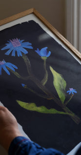 Night Flower by Clara Schicketanz