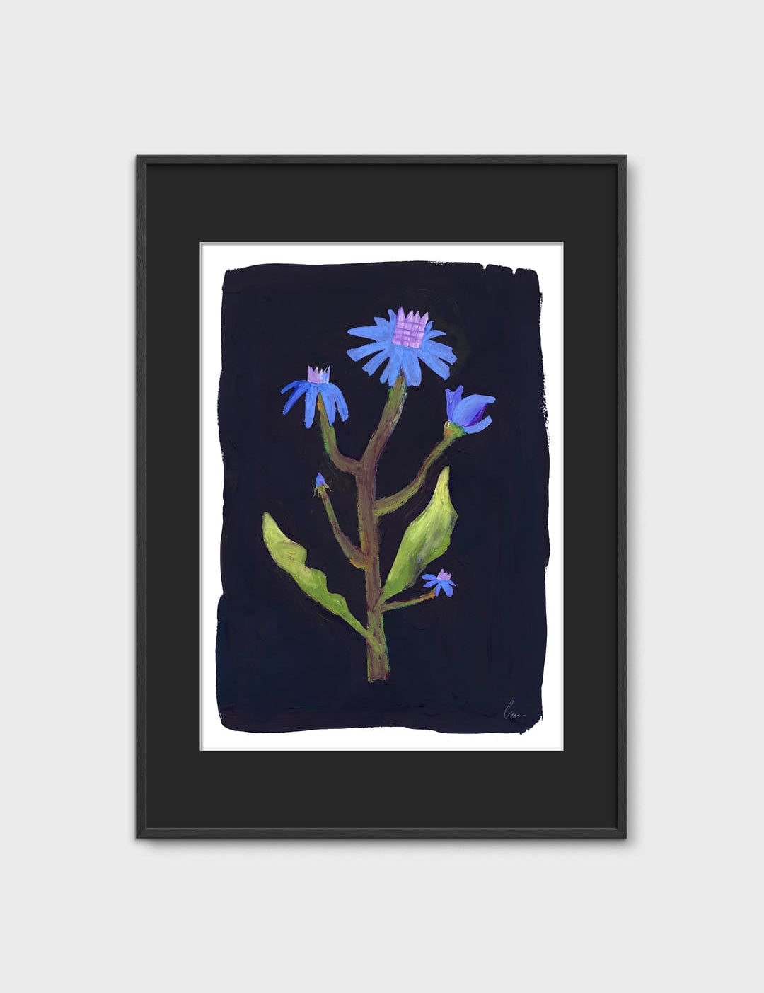 Night Flower by Clara Schicketanz