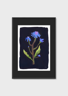 Night Flower by Clara Schicketanz